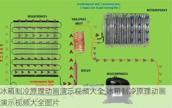 冰箱制冷原理动画演示视频大全,冰箱制冷原理动画演示视频大全图片