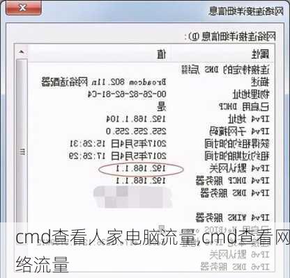 cmd查看人家电脑流量,cmd查看网络流量