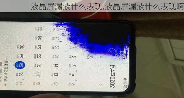 液晶屏漏液什么表现,液晶屏漏液什么表现啊