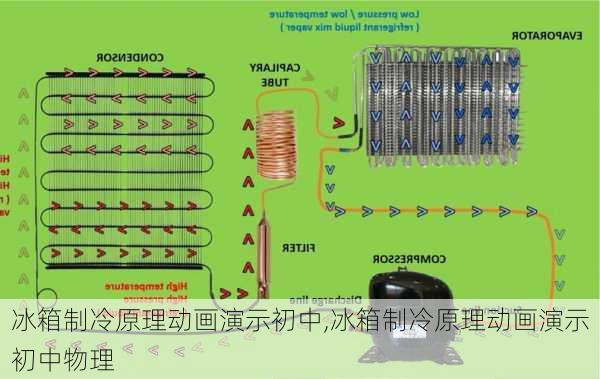 冰箱制冷原理动画演示初中,冰箱制冷原理动画演示初中物理