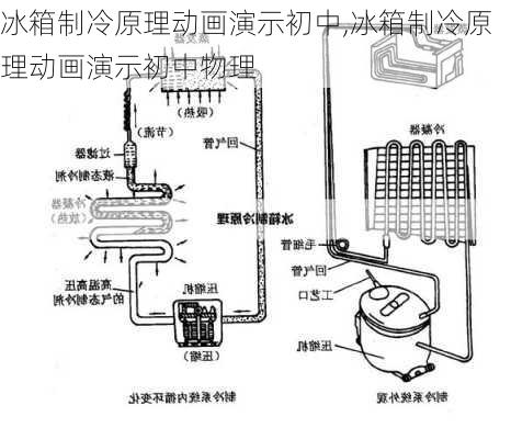 冰箱制冷原理动画演示初中,冰箱制冷原理动画演示初中物理
