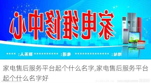 家电售后服务平台起个什么名字,家电售后服务平台起个什么名字好