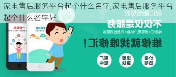 家电售后服务平台起个什么名字,家电售后服务平台起个什么名字好