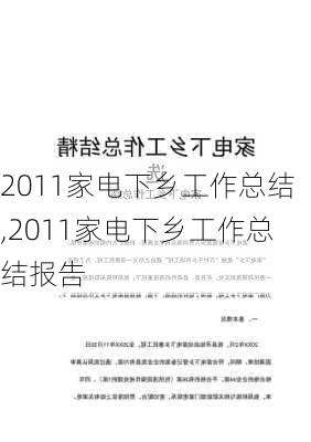 2011家电下乡工作总结,2011家电下乡工作总结报告