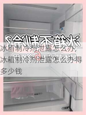 冰箱制冷剂泄露怎么办,冰箱制冷剂泄露怎么办得多少钱