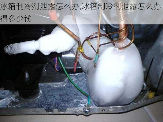 冰箱制冷剂泄露怎么办,冰箱制冷剂泄露怎么办得多少钱