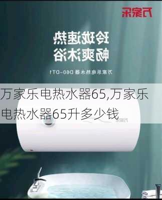 万家乐电热水器65,万家乐电热水器65升多少钱