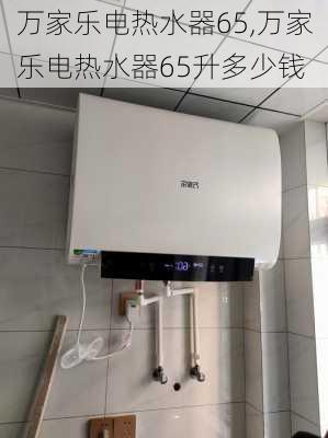 万家乐电热水器65,万家乐电热水器65升多少钱