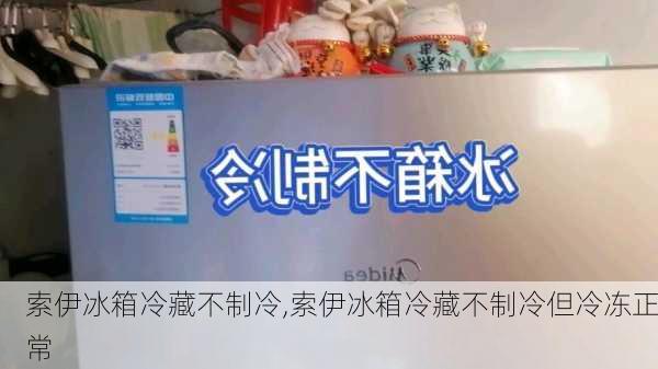 索伊冰箱冷藏不制冷,索伊冰箱冷藏不制冷但冷冻正常