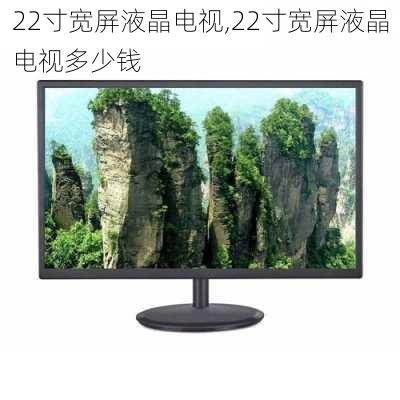 22寸宽屏液晶电视,22寸宽屏液晶电视多少钱