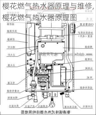 樱花燃气热水器原理与维修,樱花燃气热水器原理图