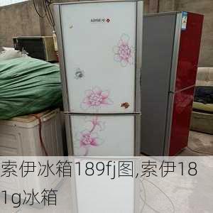 索伊冰箱189fj图,索伊181g冰箱