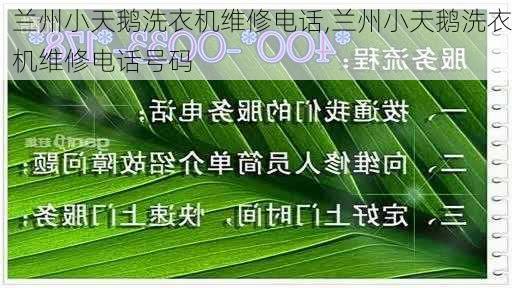 兰州小天鹅洗衣机维修电话,兰州小天鹅洗衣机维修电话号码