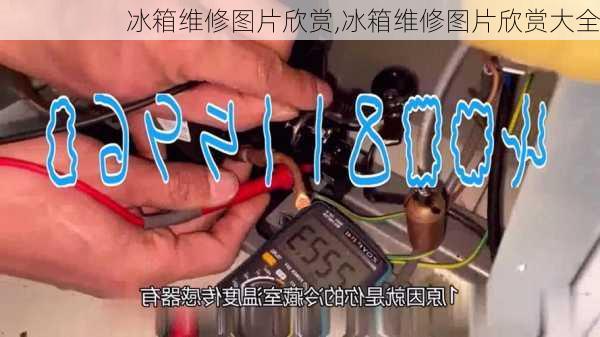 冰箱维修图片欣赏,冰箱维修图片欣赏大全