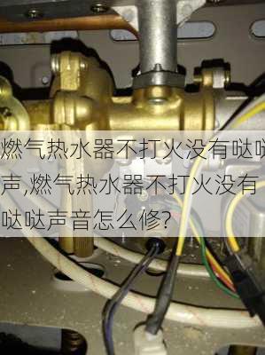 燃气热水器不打火没有哒哒声,燃气热水器不打火没有哒哒声音怎么修?