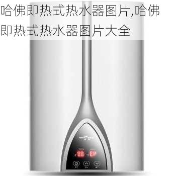 哈佛即热式热水器图片,哈佛即热式热水器图片大全