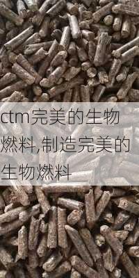 ctm完美的生物燃料,制造完美的生物燃料