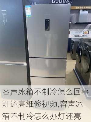 容声冰箱不制冷怎么回事灯还亮维修视频,容声冰箱不制冷怎么办灯还亮