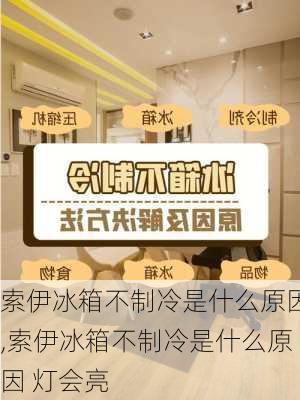 索伊冰箱不制冷是什么原因,索伊冰箱不制冷是什么原因 灯会亮