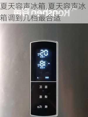 夏天容声冰箱,夏天容声冰箱调到几档最合适