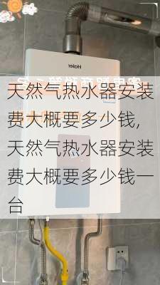 天然气热水器安装费大概要多少钱,天然气热水器安装费大概要多少钱一台