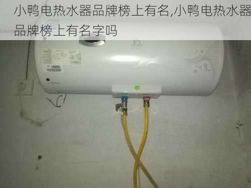 小鸭电热水器品牌榜上有名,小鸭电热水器品牌榜上有名字吗